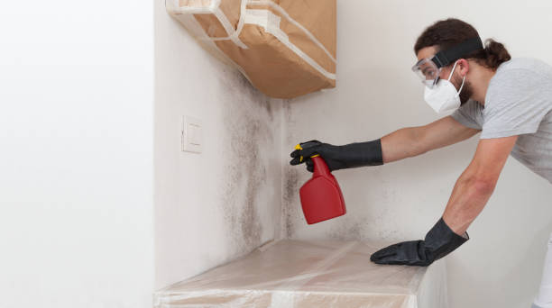 Professional Mold Inspection technician working in Peapack, NJ