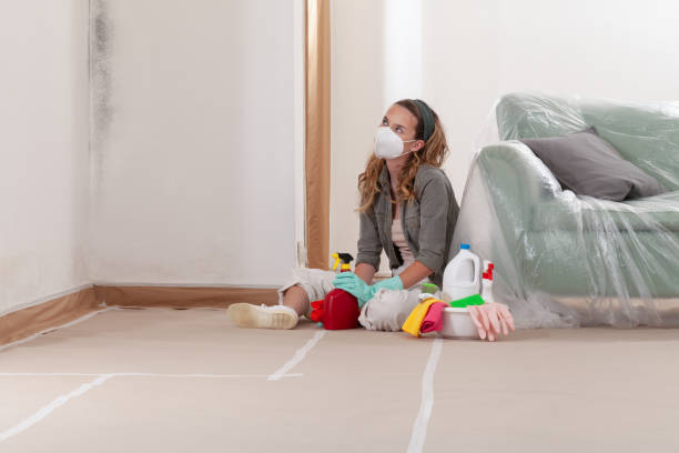 Reliable Mold Inspection contractor in Peapack, NJ by WQB Mold Removal